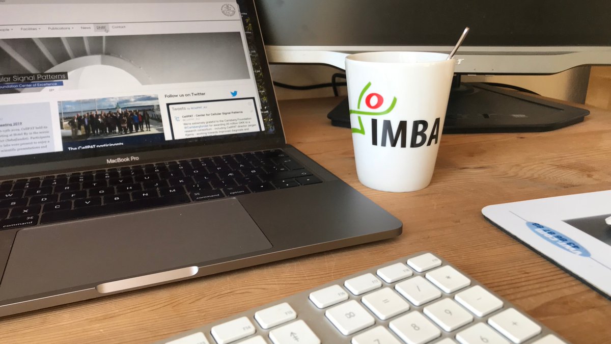 AnneFaerch's tweet photo. My @EMBO mug is locked in at the university so now my @IMBA_Vienna mug is back in action :-) #ScienceAlumni #HomeOfficeCoffeeBreak https://t.co/WeNMoSeAAi