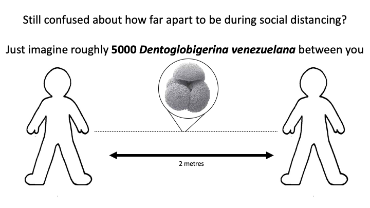 palaeobeas's tweet photo. #SocialDistancing for the #micropalaeontologists (Oligocene represent✌️) @MicropalaeoSoc https://t.co/WC08OpAd2Q