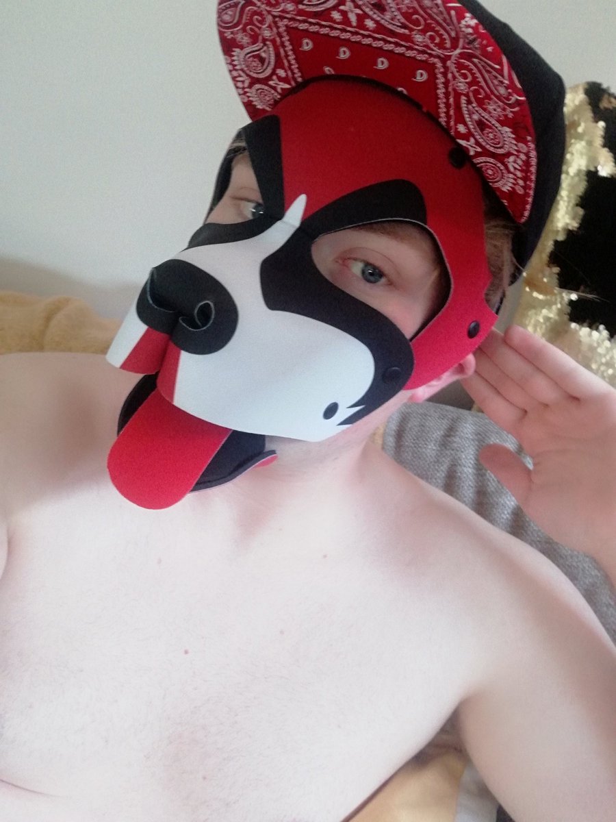 Look at this cute hat a Pup friend got for me to match my hood.