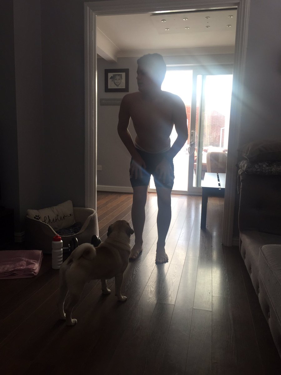Victori65327244's tweet photo. @adpsportuk @BasPhoenixSC not sure Chester 🐶 is helping with Harley’s workout this morning 🤣🤣 https://t.co/qcLrasyaKy