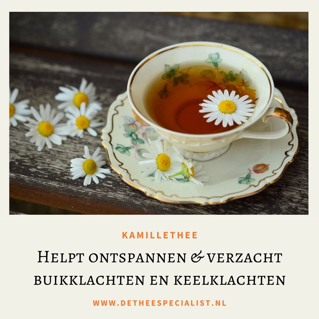 thee_specialist's tweet photo. Kamillethee heeft een ontspannende werking waardoor hij vooral bij stress en in de avond gedronken wordt. Wees dus lief voor jezelf en pak bij je volgende thee moment een kopje kamillethee!

https://t.co/c6B2BGT2lB

#kamille #kruidenthee #theetijd #ontspanning https://t.co/4Lxva9Zm3V