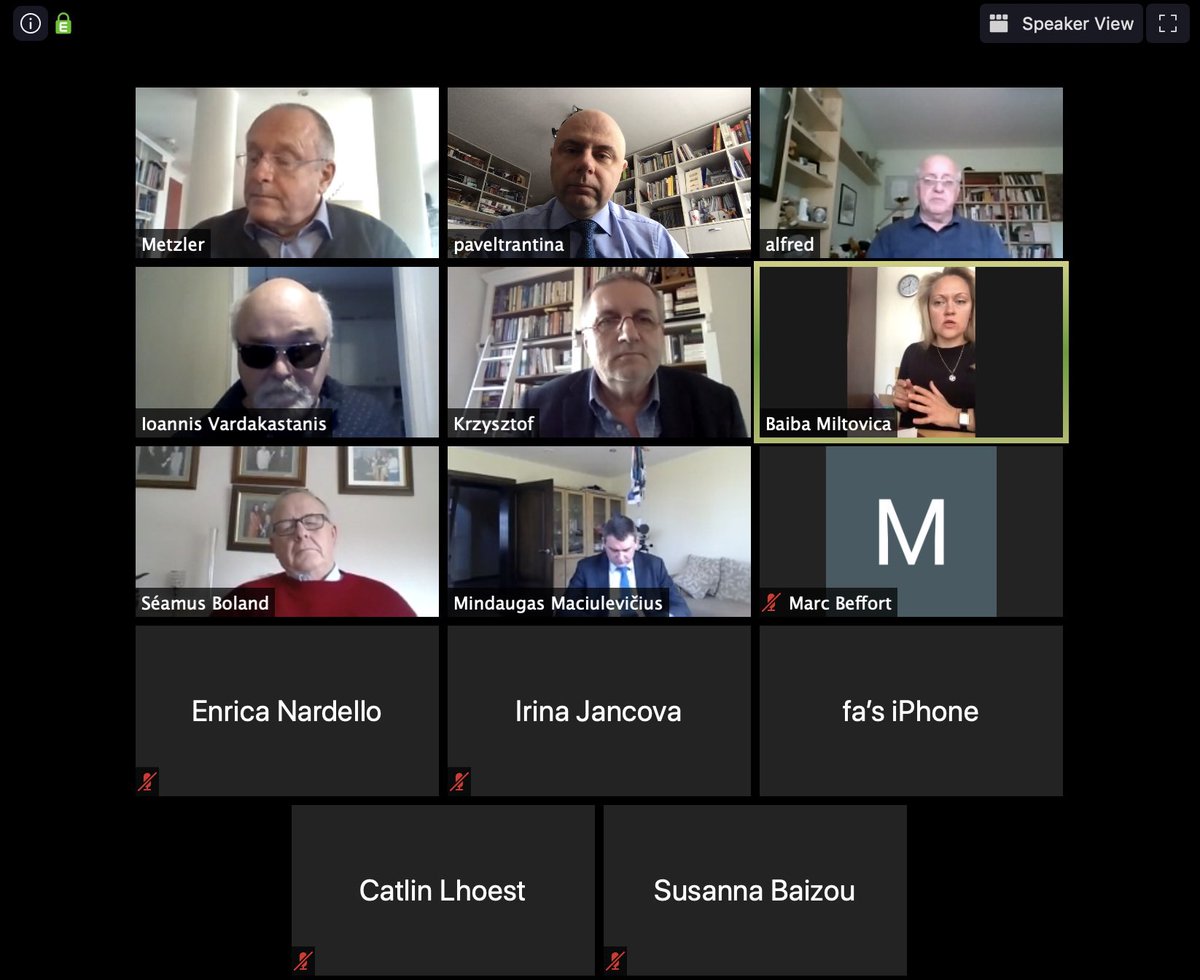 ptrantina's tweet photo. Eventhough we work from home, let’s #suitup. ;) A productive @DiversEESC Presidecy call today - we agreed on updated work programme schedule and methods. And also on how to highlight the essential role of #CSOs in helping the society to overcome the #COVID19 crisis. https://t.co/LSg9xUES0S