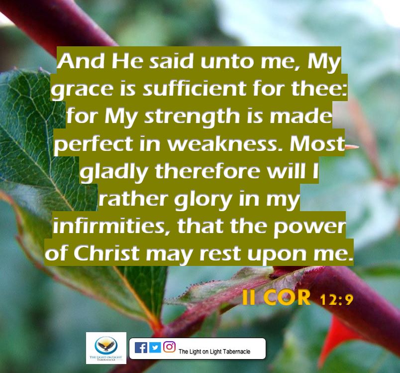 LightonLightTab's tweet photo. #HisGraceIsSufficient
#StrengthOverWeakness
#ThisIsLightOnLight https://t.co/GbQyZDBY1a