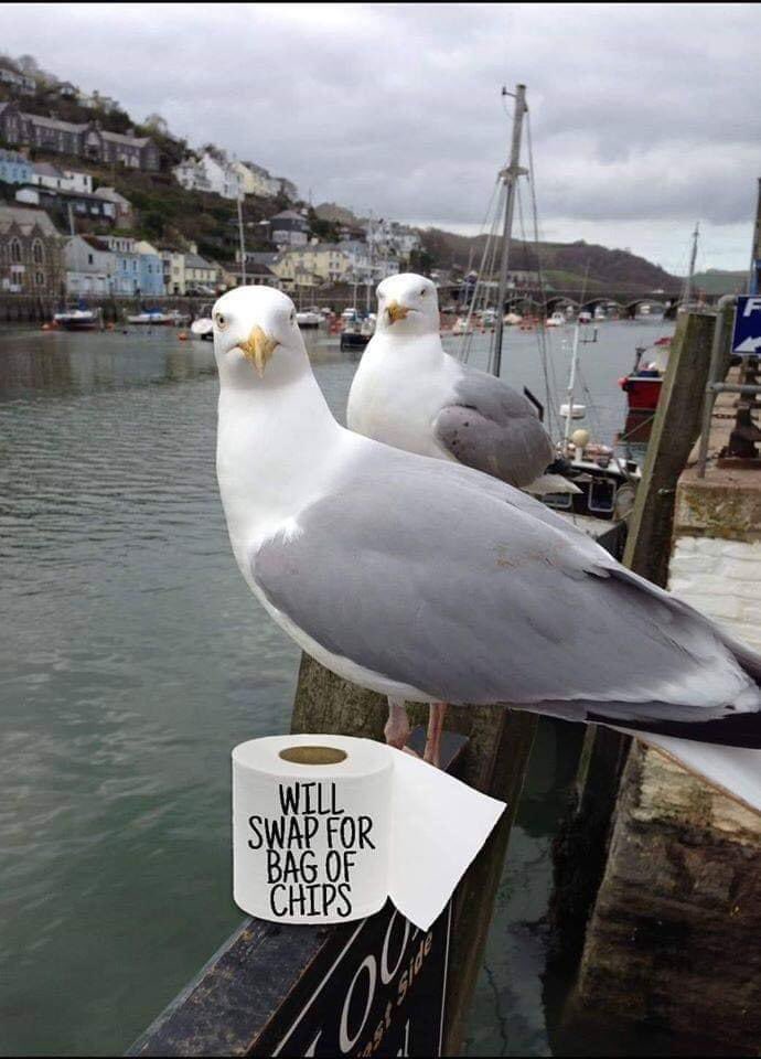 Blackpool2000's tweet photo. Times are hard https://t.co/v6qLk8y7QM