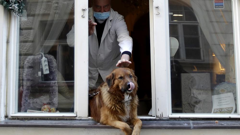 Boehringer_AH's tweet photo. #AUniqueBond: "As we have seen with this outbreak of #Coronavirus in people, animal and human health are intrinsically linked," says Carel du Marchie Sarvaas, Executive Director of @Health4Animals. A report from @euronews: ➡ https://t.co/9cHxXS9k7S https://t.co/xxLWp0XxzP