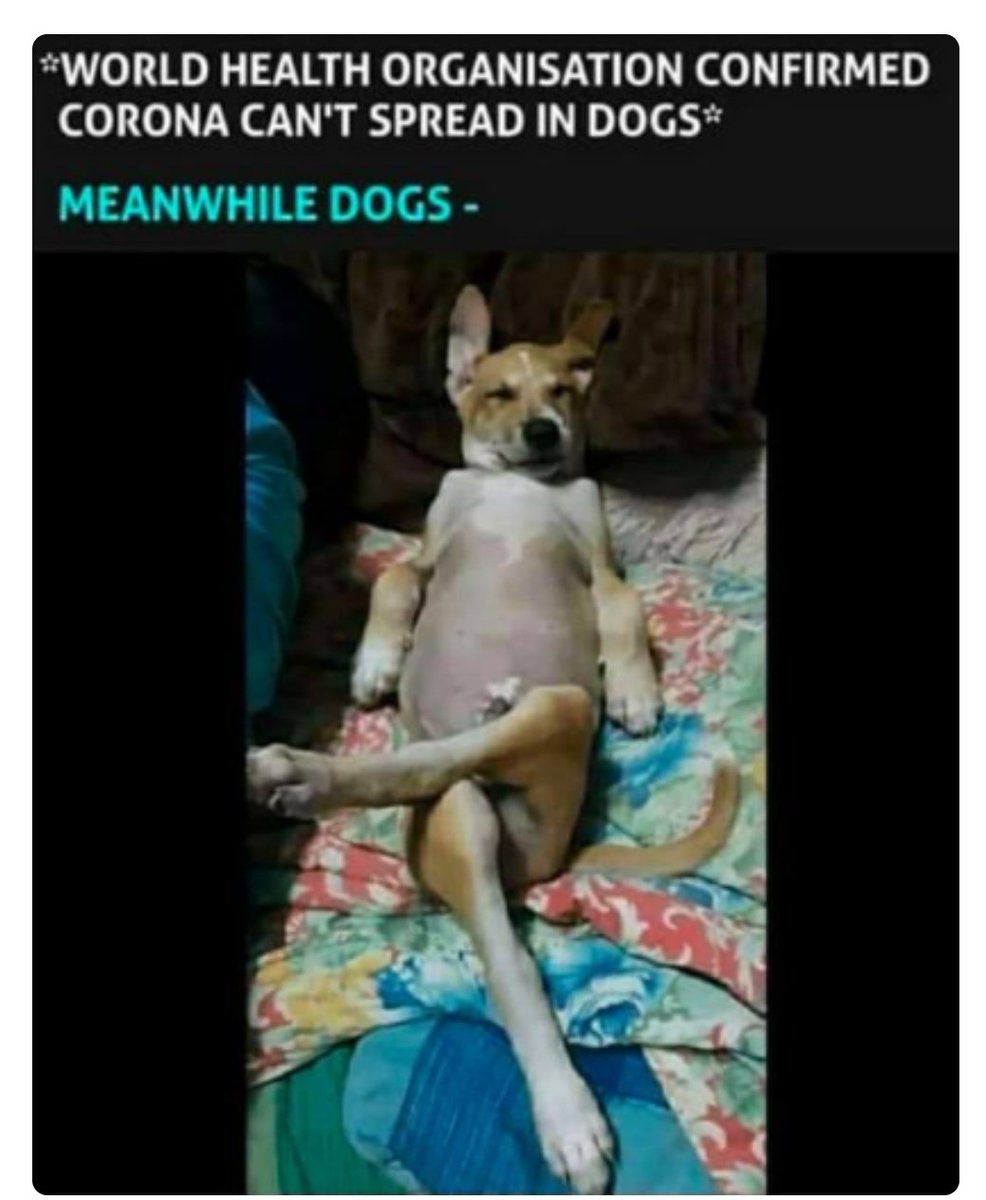 Jason4JC's tweet image. 