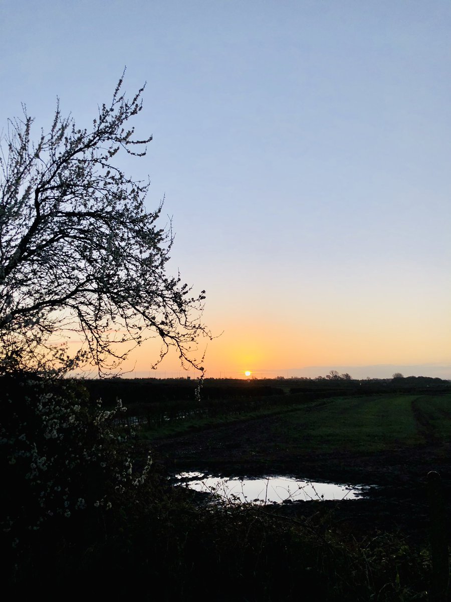 CJ_UK's tweet image. 6am Run Club

Out early this morning with @HellyJ44 to get our daily dose of running whilst enjoying the sunrise, very loud dawn chorus &amp;amp; stare down by a mardy goose 🐦

#StayAtHome #TuesdayMotivation #6amrun #RunningBuddy
