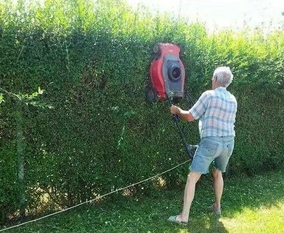 PrFeuillage's tweet photo. Quand on est confiné et qu'on a un jardin (la chance), il est tentant de jouer les hyper-actifs de la taille de haie. N'en faites rien !
Du 15 mars au 31 juillet, les oiseaux sont en nidification. Vous risqueriez de détruire des nids et de tuer des oisillons.
Merci pour eux ! 🐦 https://t.co/h8W6XOu0eC