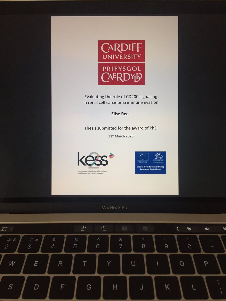 Elise Rees tweet media