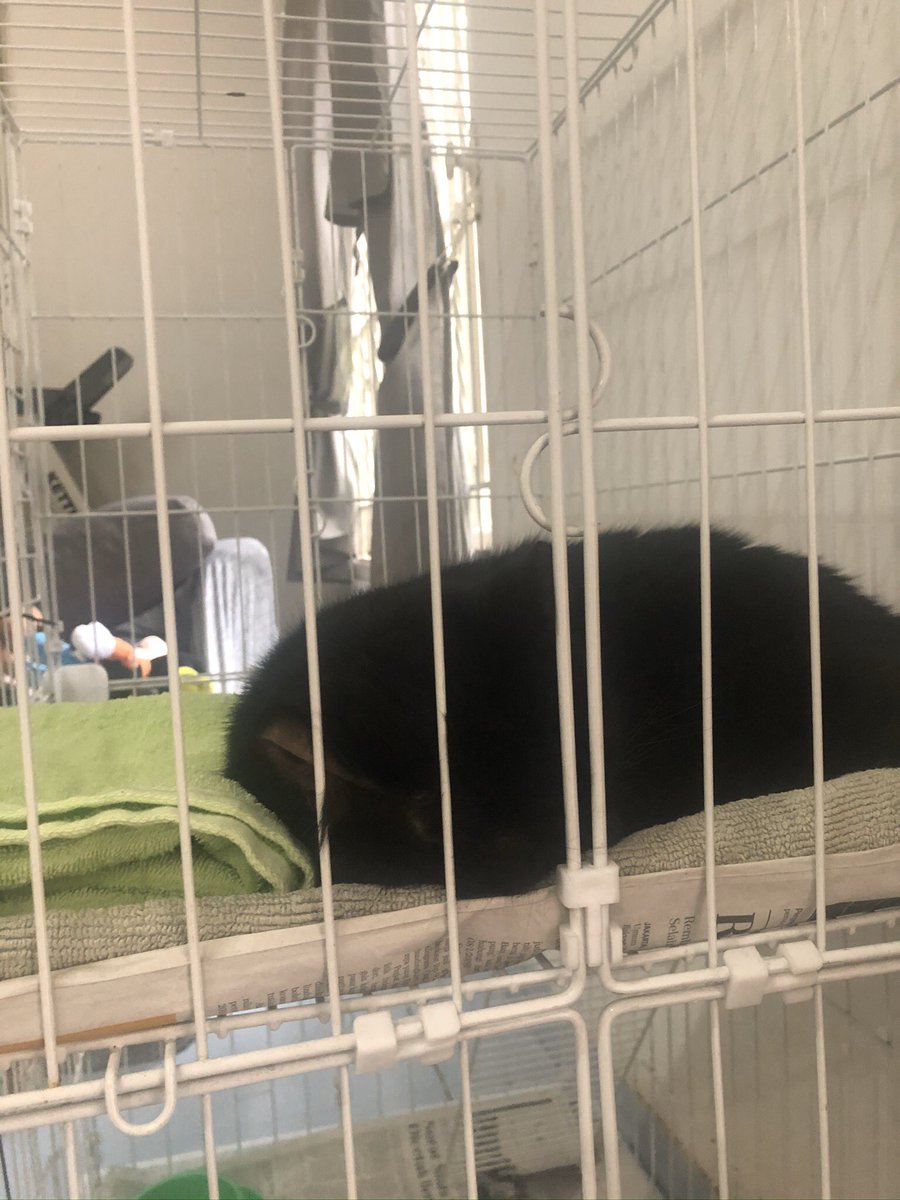 Fragile banget sayang💔💔 get strong sayangku jiji