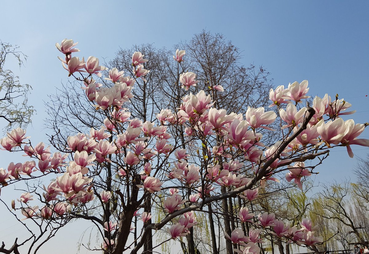 우주 (@woodelfjy) on Twitter photo 