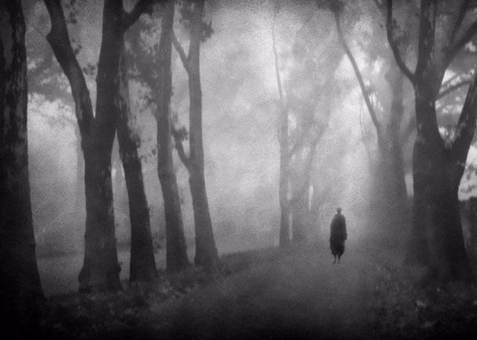 Narrow and wide path. Only way out through. Красивые изречения о лесе. The best way out is always through. Only way out through.