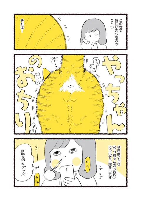 やっちゃんのおちりが大好き 
