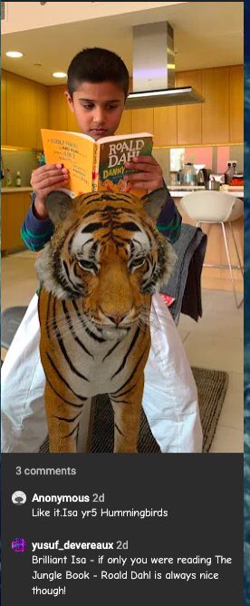 TgillaniRAD's tweet image. Year 5 are really going for it with our Extreme Reads competition! So impressed with our students’ creativity and ingenuity... but hats off to Mr. Williams of Hoopoes who is clearly flying high! #RADRemoteLearning