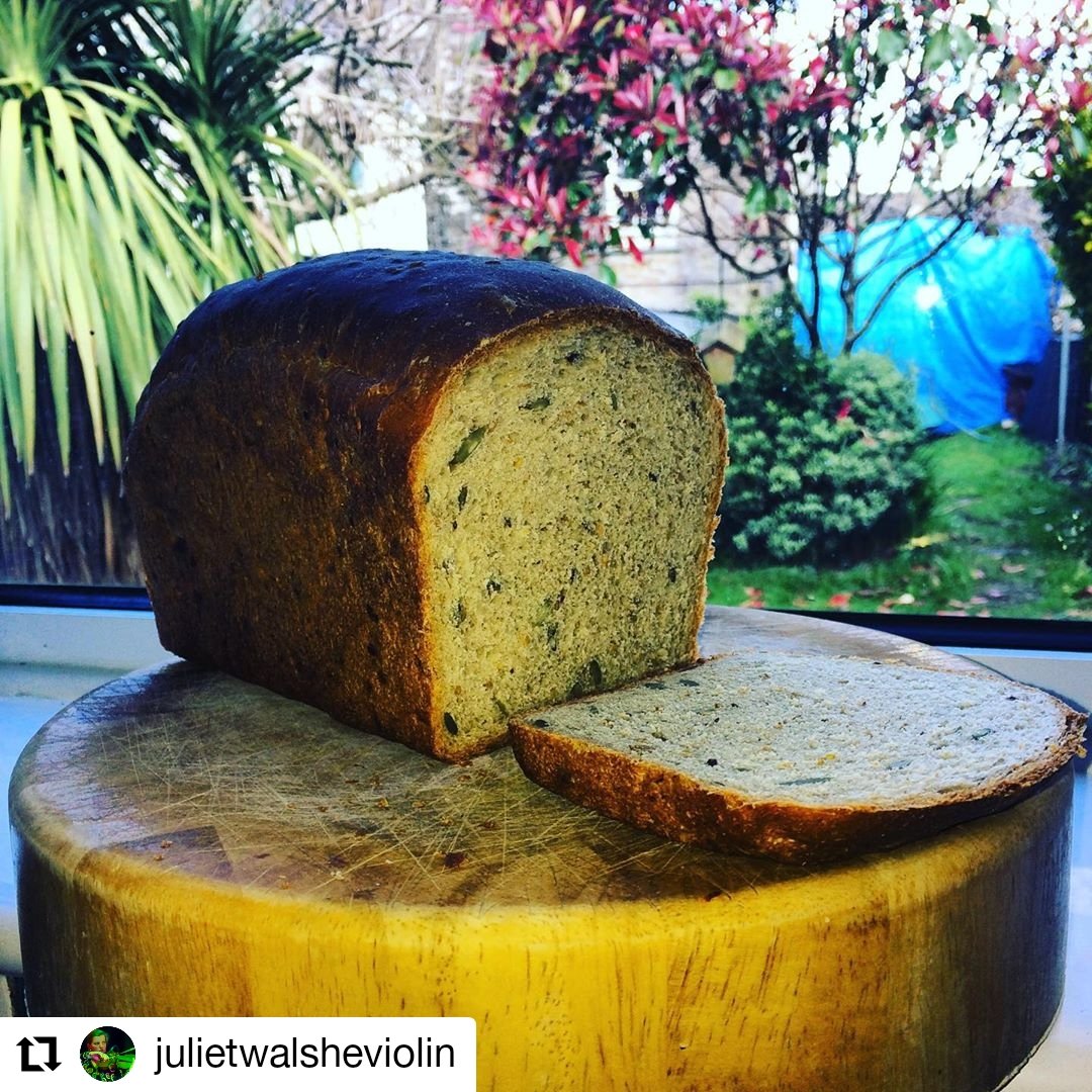 Kelp Bakery tweet media