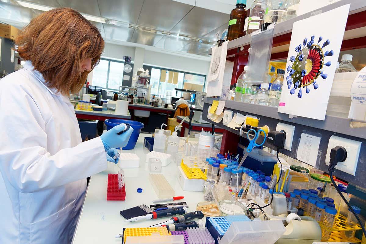 New Scientist tweet media