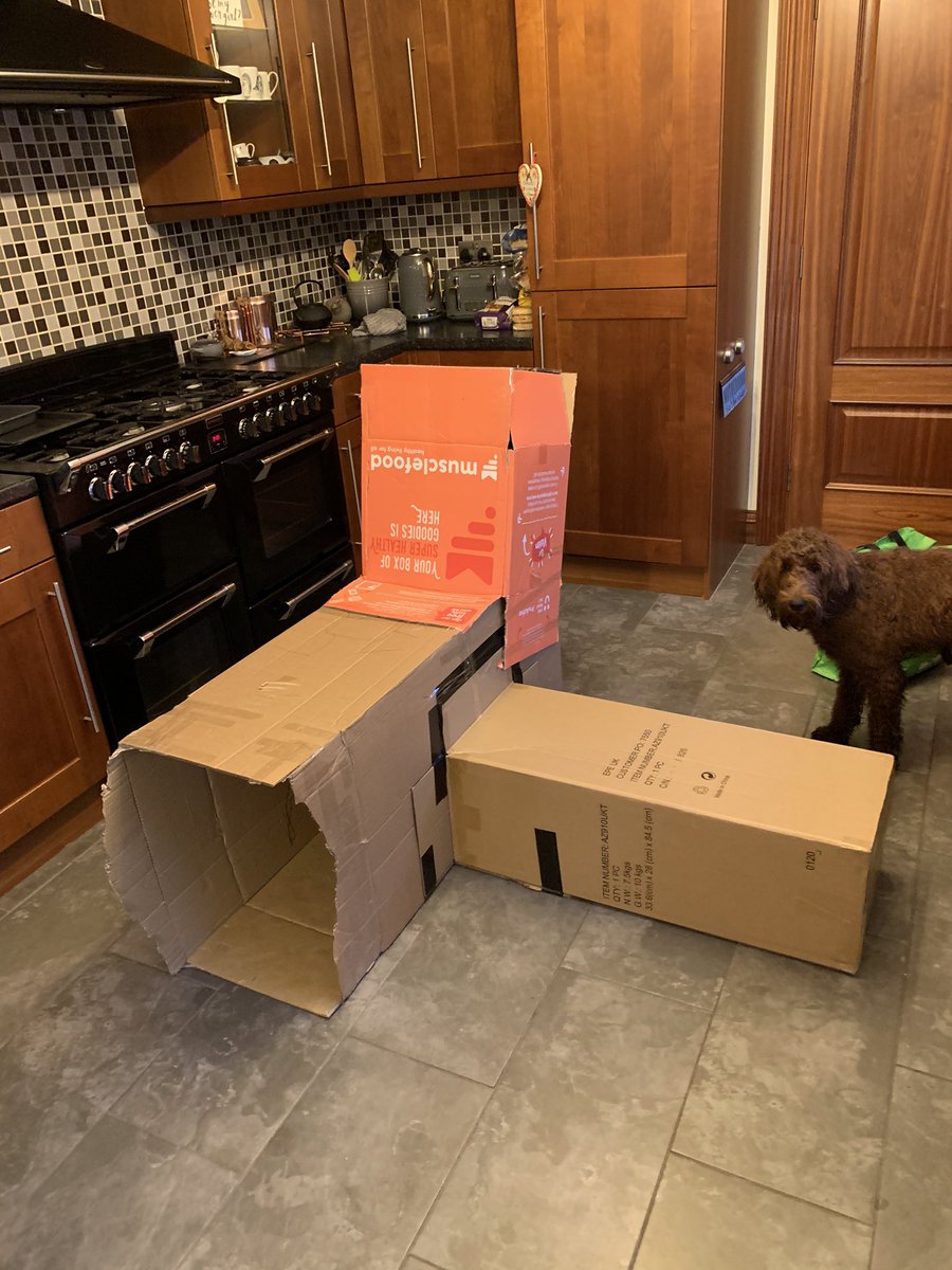 ScottAn19986500's tweet photo. @MrsScottkwps Ava did more school work at the weekend than during the week, but whatever works 😂 We also built a den yesterday from old boxes. Architected by Ava and built (loose of the term built) by daddy. 😊 https://t.co/fABsVHMiqq
