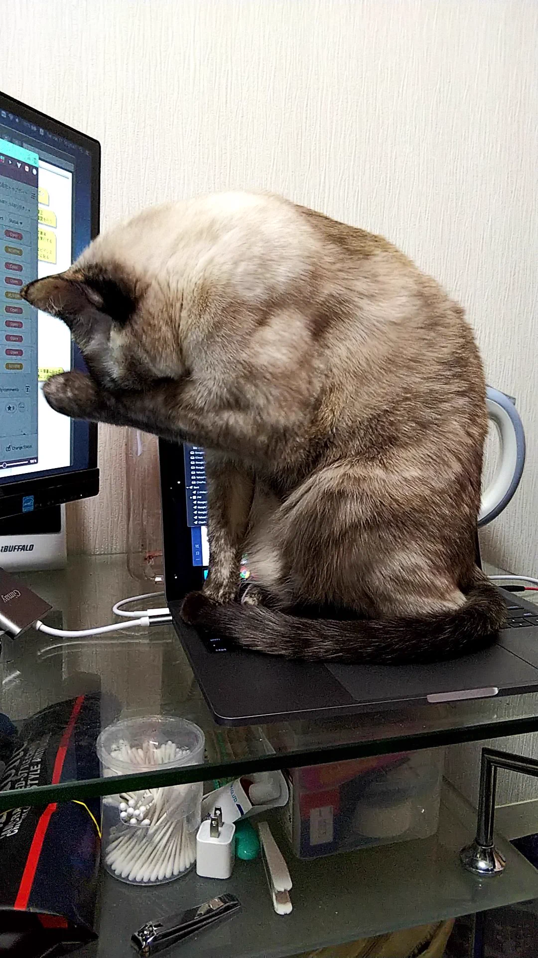 @ab_peko しまいにはPCの上で毛繕いし始めるので気を付けてください 