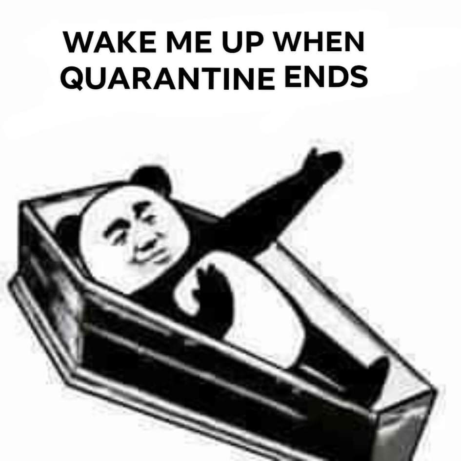 72th day of spring break, 51th day of quarantineOur uni gave us another month quarantine til May 3rdI mean-A WHOLE FUCKING MONTH?!