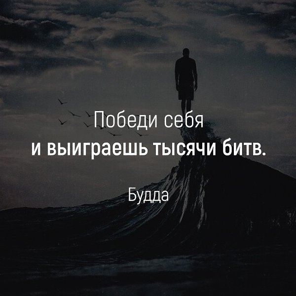 ESP (@exsolplat) on Twitter photo 