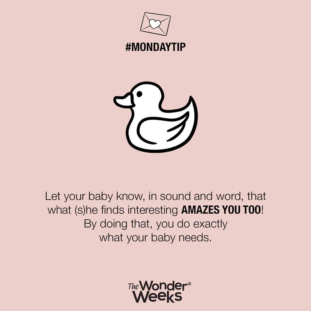 AcademyTWW's tweet photo. What does your baby find absolutely interesting? 😮 
.
.
#mondaytip #tip #thewonderweeks #amazing #loveit #loveittogether #teamwork https://t.co/VCdP8YEdqZ