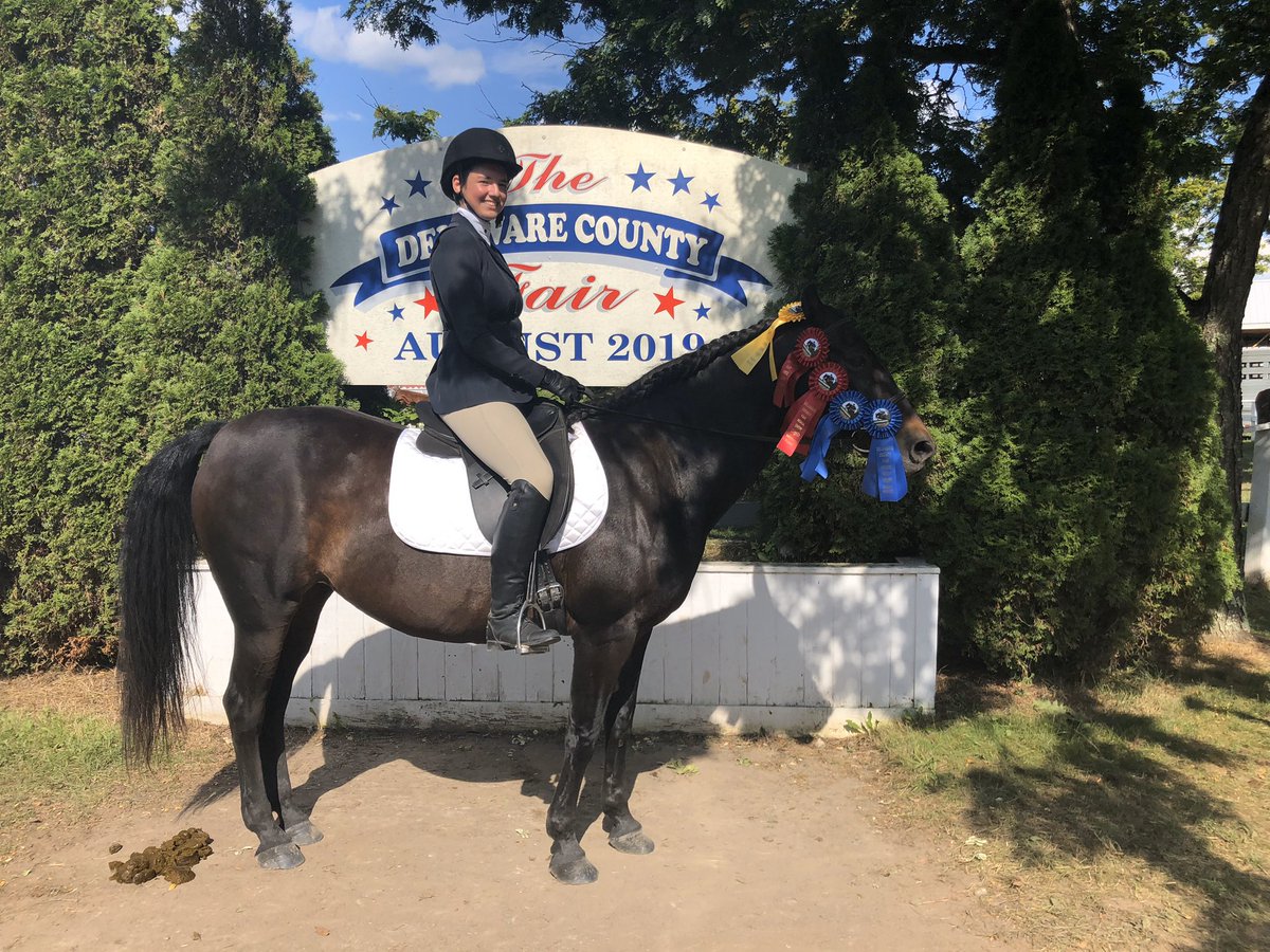 mrsdangelo_ICS's tweet photo. It’s Talented Tuesday @icschool_online! Show us your talent! Since my talent is organization (not too photogenic 😉), I’ll show off my daughter’s talent! 🐎🥇 Double Grand Champion #ICSAlumni 🏆 https://t.co/DB9d9gCAUC