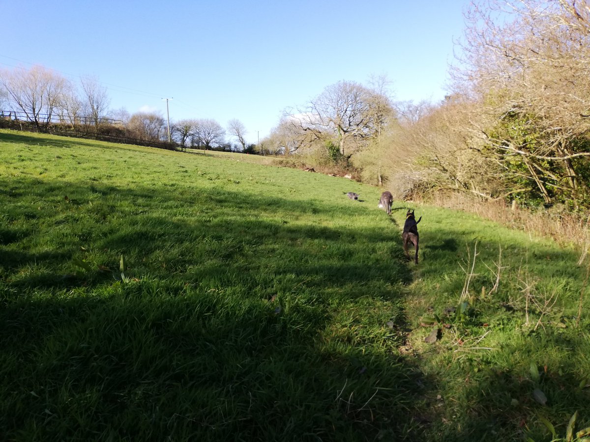 MRewilding's tweet photo. I've noticed that during this crisis big landowners  wish to exclude people from rights of way, shutting out those who may have nowhere else to go. How mean can you get? Desperate need for land reform in this country, a historic injustice that needs fixing.  @guyshrubsole https://t.co/cTlB3SzqGF