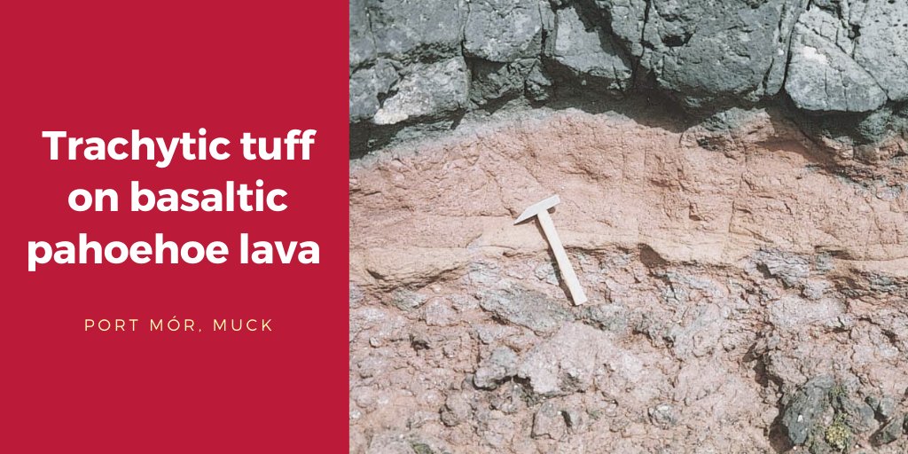 BGSEarthwise tweet media