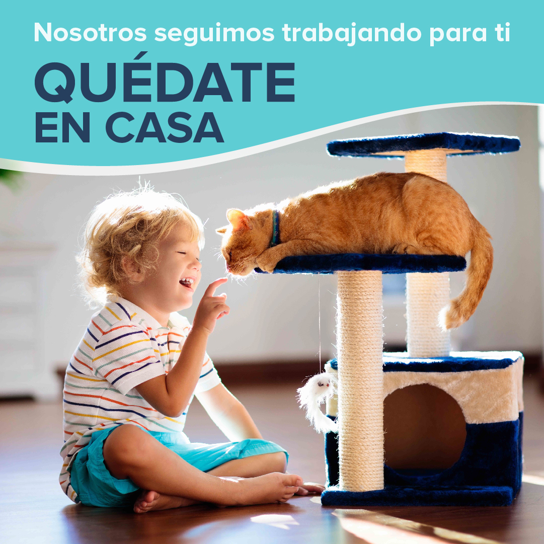 frideals's tweet photo. La mejor manera de ayudar es quedándonos en casa pero, no te preocupes, Frideals seguirá trabajando para todos vosotros... JUNTOS PODEMOS. 💪🍀https://t.co/QZW5O5sxun
#quedateencasa #yomequedoencasa #covid_19 #cuarentena #coronavirusespaña #coronavirus #frideals https://t.co/GkudUNES9j