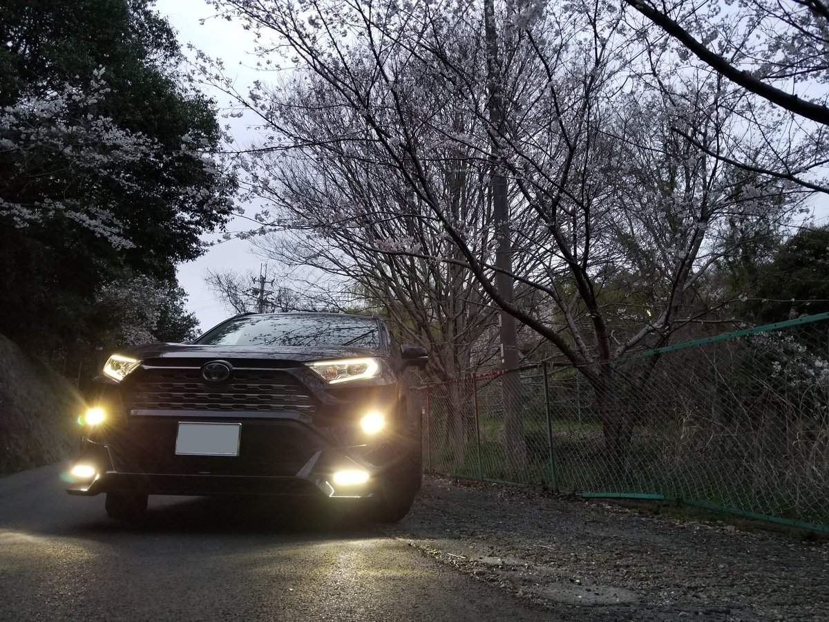 1030RAV4's tweet photo. 桜とRAV4🌸 https://t.co/JfJRtGu2Iy