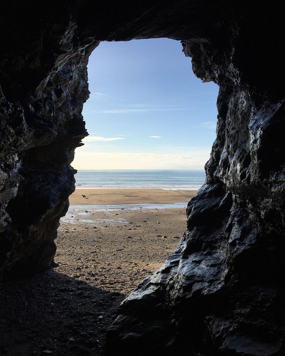 Colroger Holidays tweet media