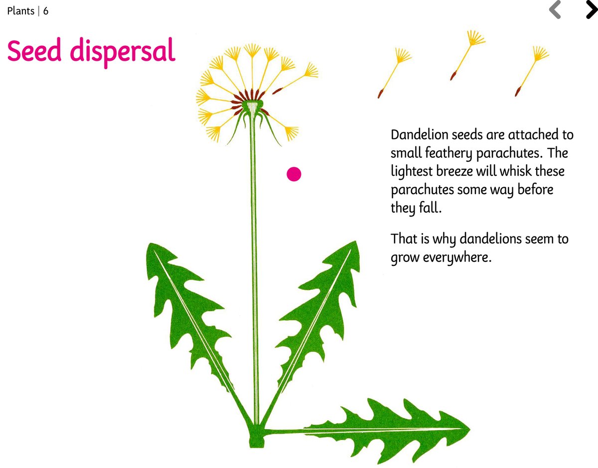 Science for kids: slide shows and worksheets based on Marie Neurath’s books for children.
Enjoy while you’re at home.
#UoRimpact Award 
research.reading.ac.uk/picturingscien…
<a href="/UniRdg_Research/">Connecting Research</a> <a href="/DesignScienceUK/">Design Science</a> <a href="/UniRdg_IoE/">IoE Uni of Reading</a>  <a href="/AndrewHapple/">Andrew Happle</a> <a href="/Em_Minns/">Emma Minns</a> <a href="/eslacote/">josefina bravo</a>
@illustrationHQ