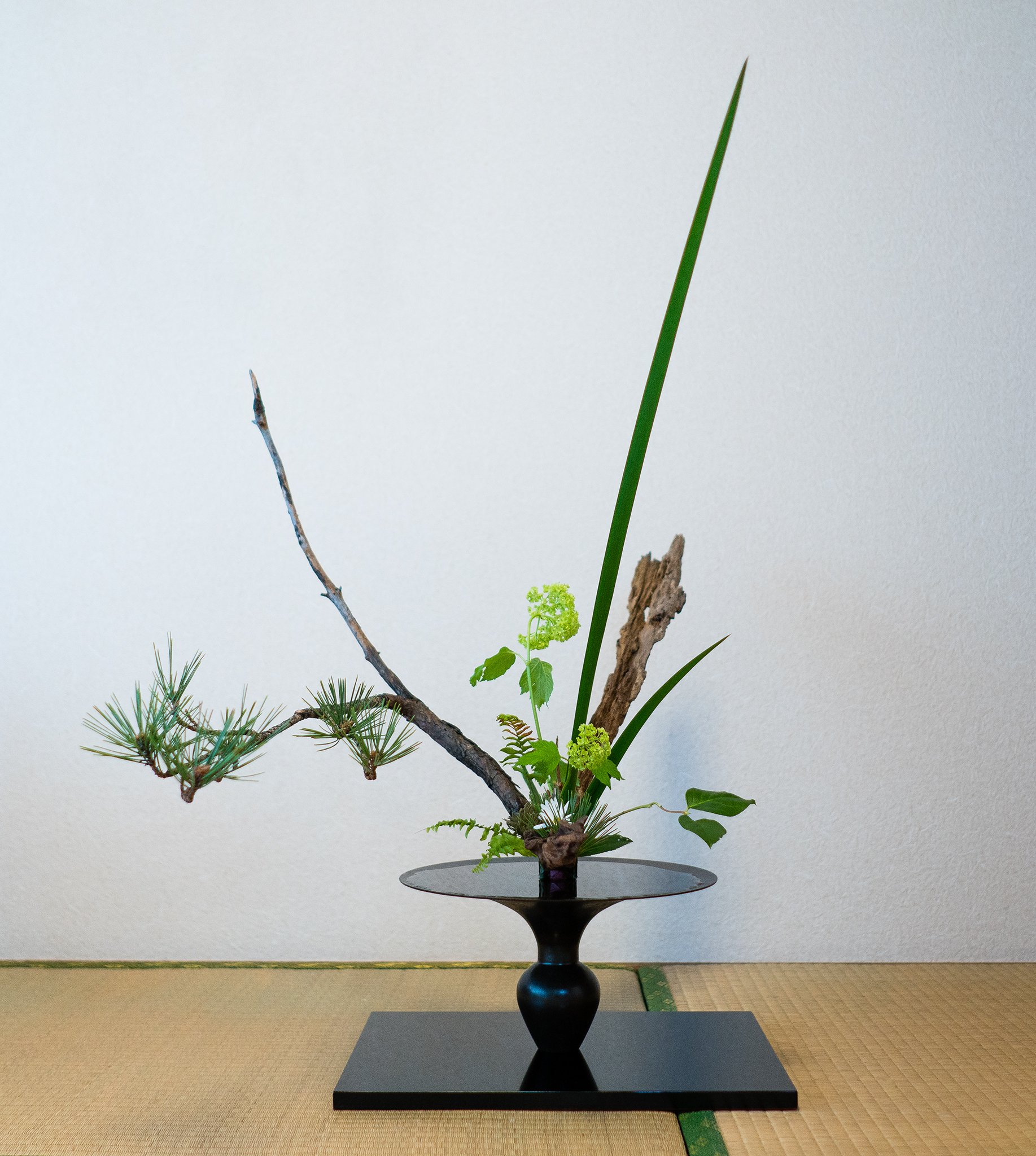 I M Photographer Ikebana Artist Based In Tokyo Japan Twitter