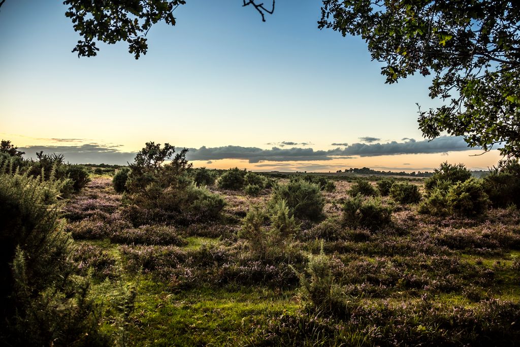 hantsconference's tweet photo. Our Spring newsletter has launched! Click on the link to see the latest news and announcements from Hampshire. 🌞 https://t.co/xBzPx5JuwR] https://t.co/xMnAf8DjAd