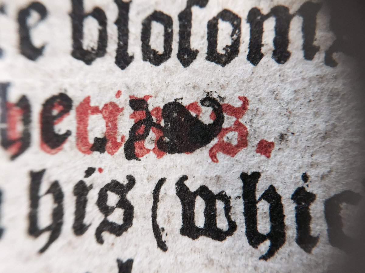 UofGlasgowASC's tweet image. A great #TypeTuesday: “The voyce of the Churche” &amp;amp; “The voyce agaynst the heretikes” was mistakenly transposed in printing the red rubrics of this 1537 Bible. The error corrected by over-printing in black eleanor.lib.gla.ac.uk/record=b1642178 #PrintFail #PrintingError #UofGlasgowASCfromHome