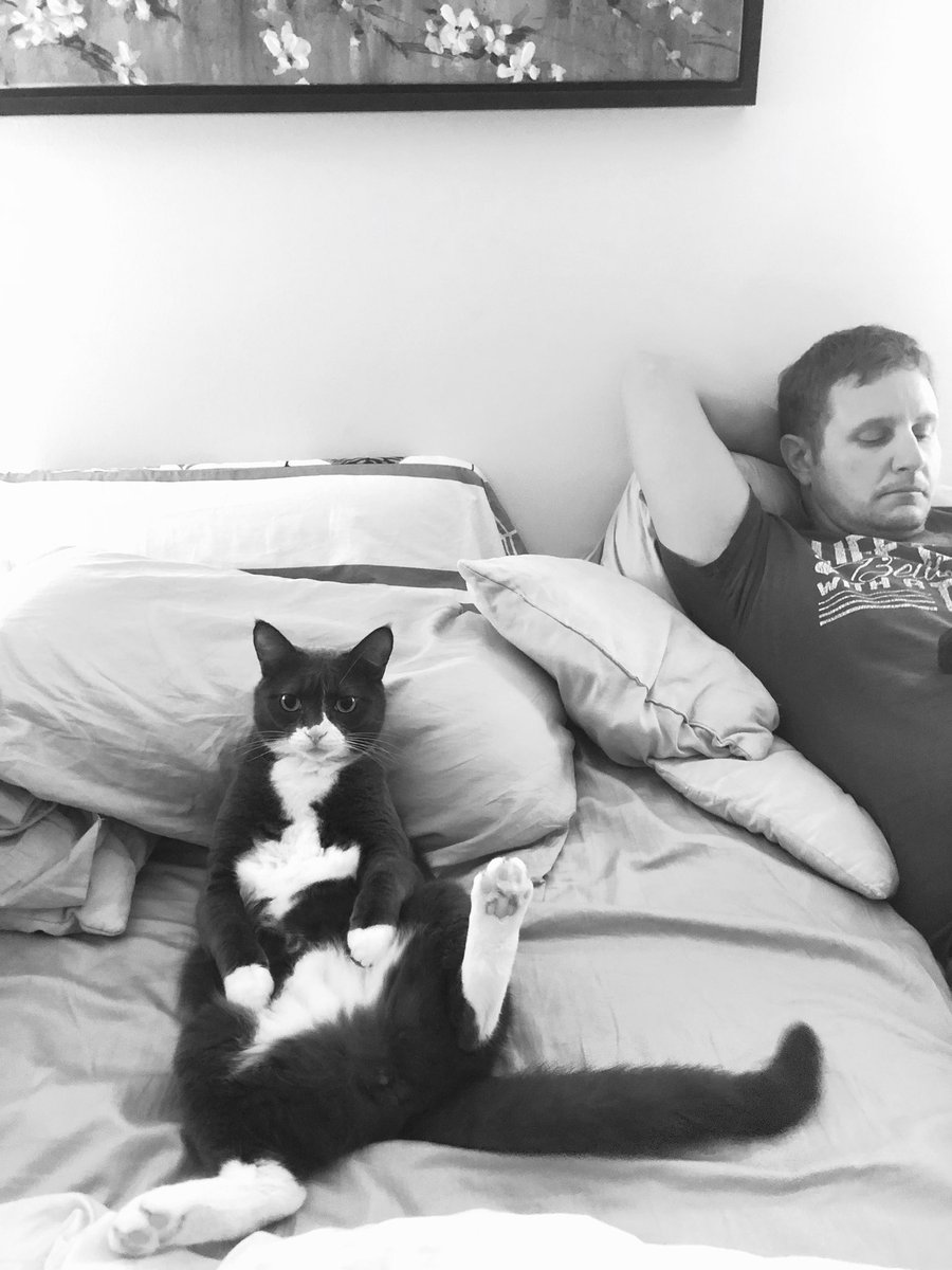 TheFarmedLife's tweet photo. @bobehayes This is Bocephus our #SittingCat, he thinks he’s a people lol https://t.co/4KqWCPjxqi