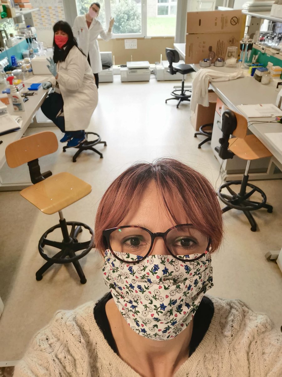 IGATechnology's tweet photo. Using additional appliances in the lab, #research never stops!
#LabLife #COVID19 #genomics https://t.co/xuJ50Q4pFN