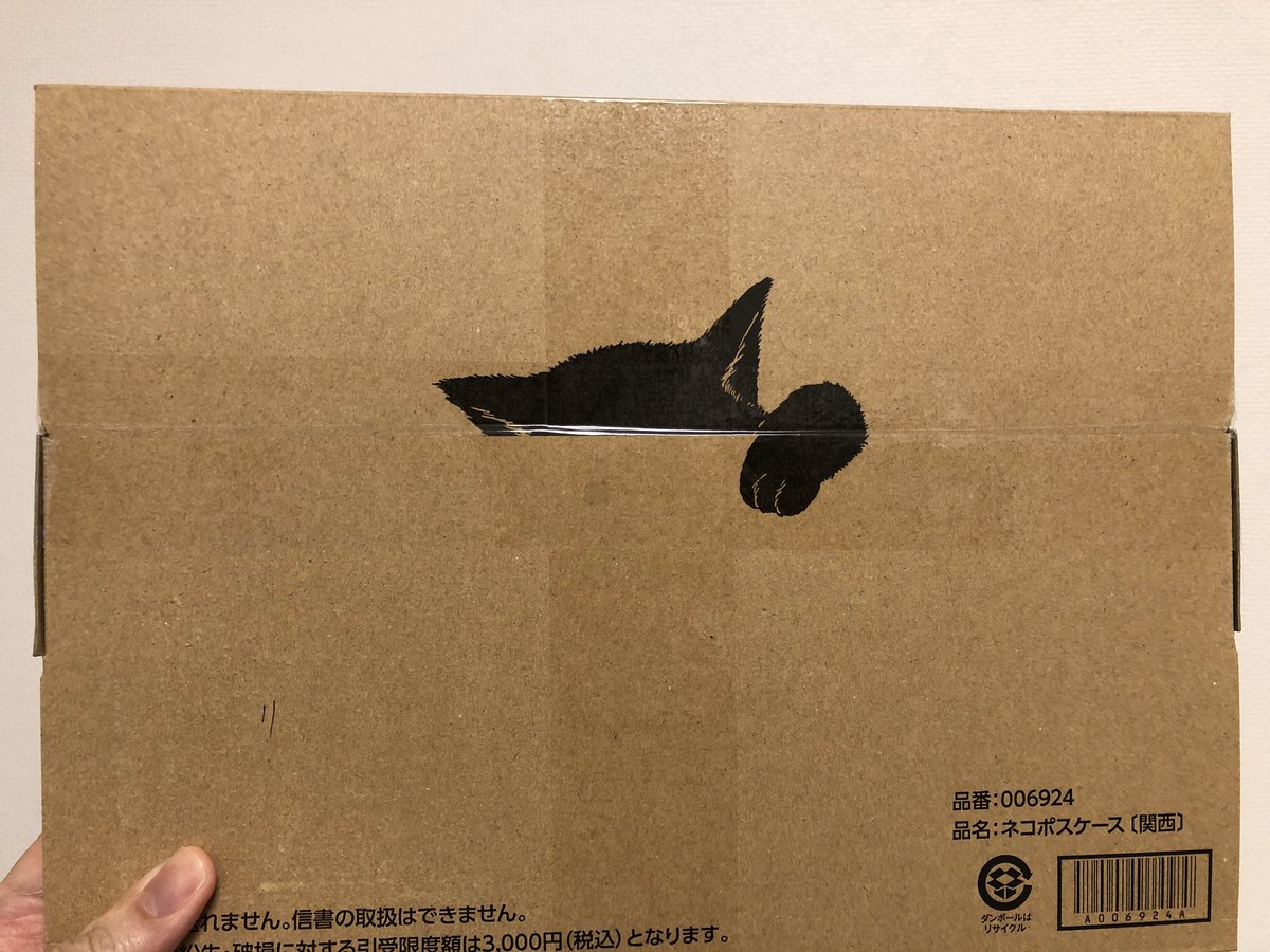 PalmPure's tweet photo. 本日家に届いたネコポス

開くと優しい顔のクロネコが見えるようになっている
とても素敵な仕掛け😸

ネコポスケース（関西）とあるから、関西限定の物なのかな🤔 https://t.co/yPmszRt249