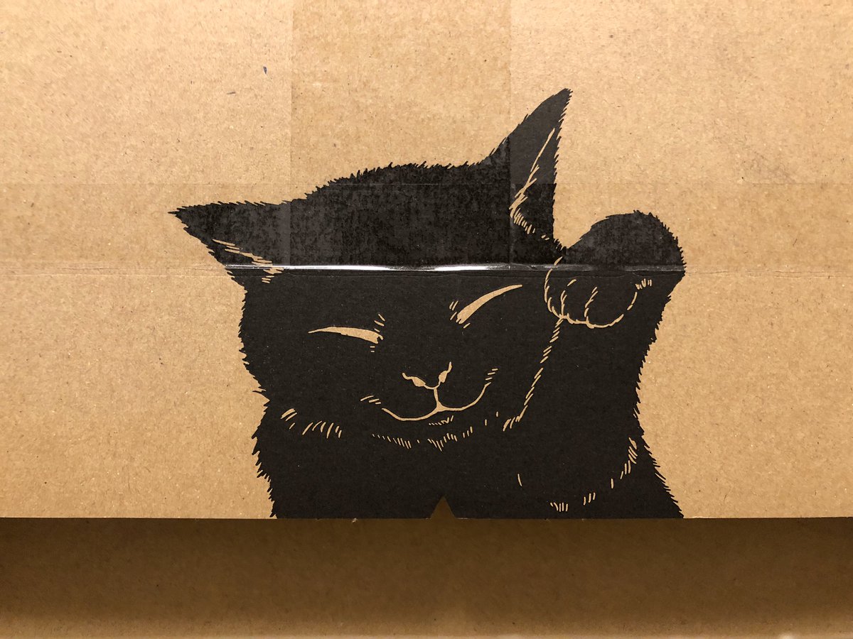 PalmPure's tweet photo. 本日家に届いたネコポス

開くと優しい顔のクロネコが見えるようになっている
とても素敵な仕掛け😸

ネコポスケース（関西）とあるから、関西限定の物なのかな🤔 https://t.co/yPmszRt249