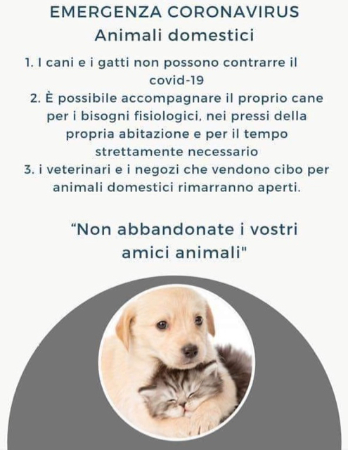 #COVID19italia #COVID19 #veterinario #clinicaveterinaria #clinicaveterinariagransasso