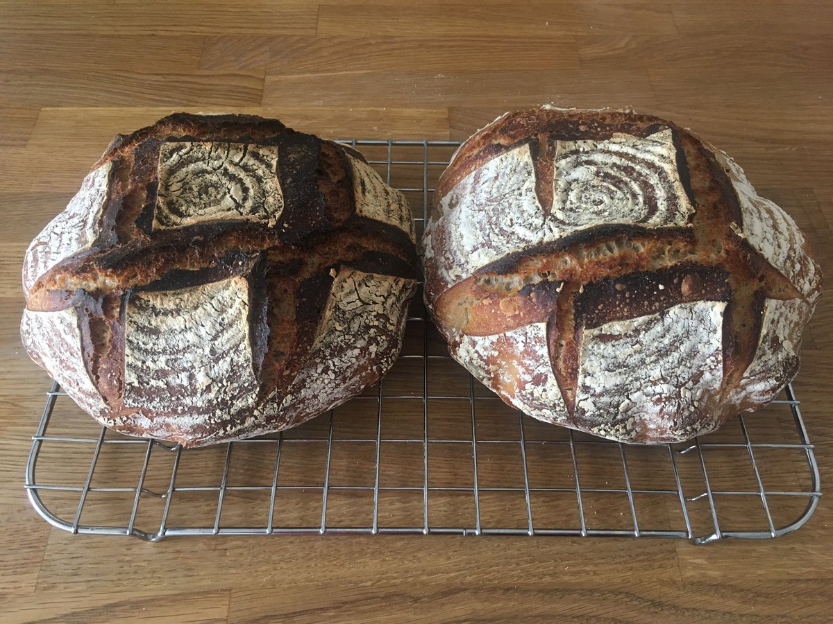 mrgn_eats's tweet photo. 🍞54: Pain de Campagne.
A sourdough/yeast hybrid with a bit of whole wheat. 78% hydration.
Working on my scoring skills. Sharp tools make it easier.
This is a favourite, I’ve baked it many times.
#fwsy https://t.co/ADgm1KL83N