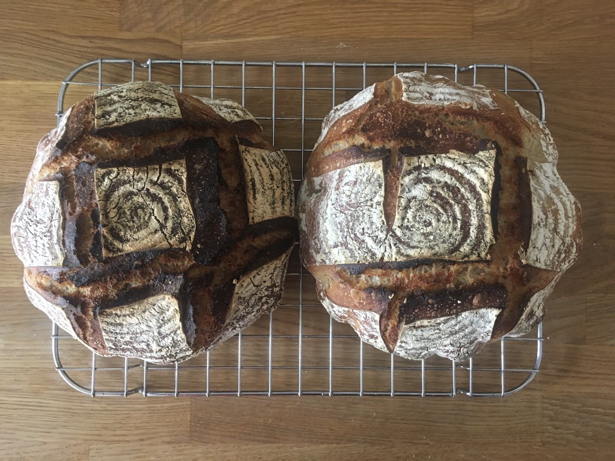 mrgn_eats's tweet photo. 🍞54: Pain de Campagne.
A sourdough/yeast hybrid with a bit of whole wheat. 78% hydration.
Working on my scoring skills. Sharp tools make it easier.
This is a favourite, I’ve baked it many times.
#fwsy https://t.co/ADgm1KL83N