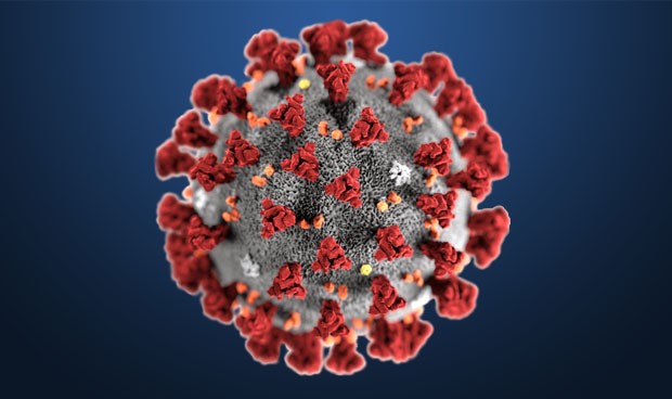 pharmacelera's tweet photo. We support our researchers in the fight of #COVID19 and this #pandemic. We are providing free access to #PharmScreen to non-profit initiatives looking for a small molecule strategy to stop the #coronavirus👉https://t.co/mUUQFVSpY3
#drugdiscovery #drugdevelopment https://t.co/1UWbtlVLtE