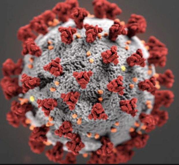 Tatiana Prowell, MD tweet media