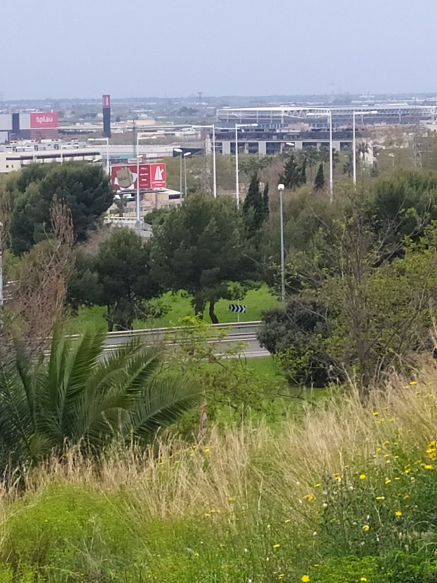 marcelcany's tweet photo. Foto de hoy sacando a la perra de paseo... Et trobo molt a faltar #CornePrat #rcde https://t.co/sY32RiBd6Q