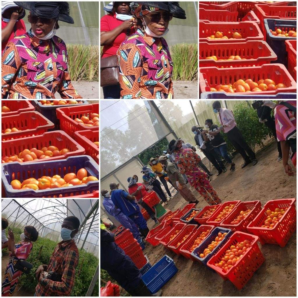 gata_bona's tweet photo. Ce 31 mars2020, la maman #OliveLembeKabila a ouvert les portes de la #FermeEspoir de #Kinshasa à différentes couches de la population, en soutien particulier aux femmes paysannes dont elle fait partie, pour clôturer le mois de la femme. @PamCongo @UNICEFDRC https://t.co/FbdpPlbyVv