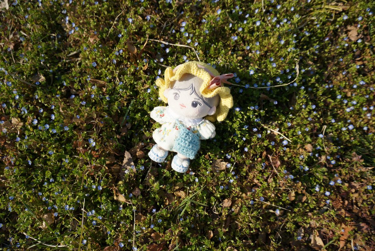 봄까치꽃 너무 예뻐🦋