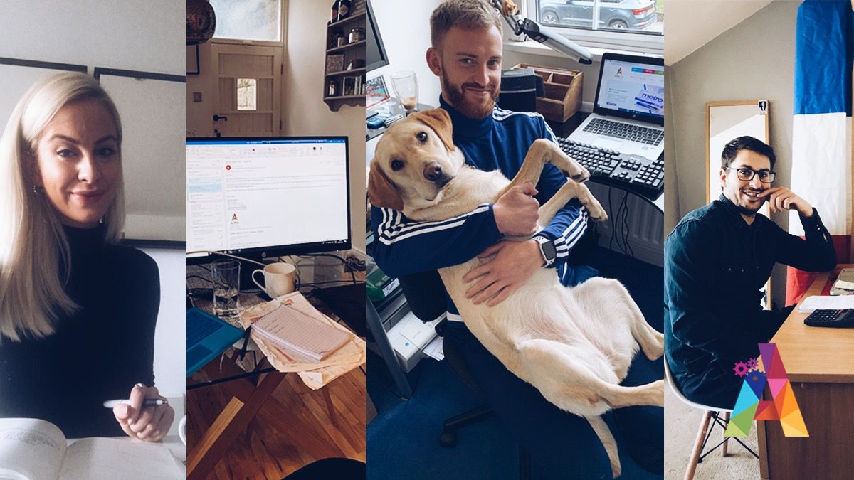 AlphaCard_'s tweet image. Some of our Alpha Team smashing work from home 👊🏼

Tom has his very own PA with him.  #pupassistant #WFH

#creatingengagement #zfold #zfoldcard #infinitycard #print #printdesign #printmarketing #creatives #designers #branding #brand #marketing #communications #workingfromhome