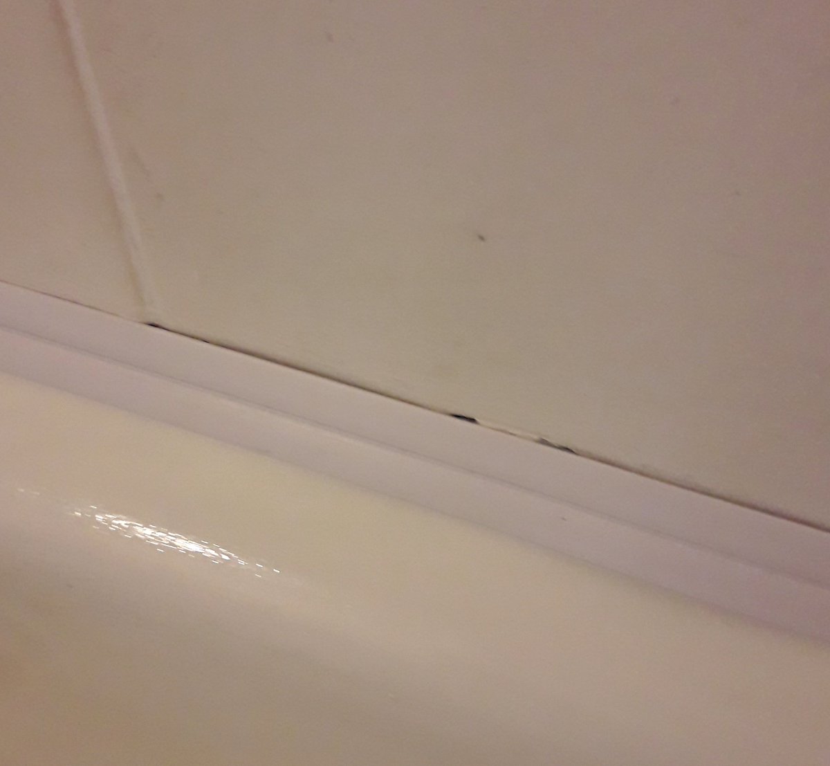 Hellofromhut's tweet image. Spent approx 90hrs today removing silicone and now this new trim just lifts itself off! Can I super glue it down? #diy #diyhell #thisishut #day300oflockdown