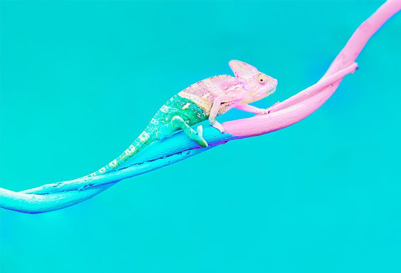 Lust auf ein bisschen agile Kommunikation? Viel Spass beim Lesen!kommunikationsatelier.ch/de/news/kommun…  #agilekommunikation #agilemindset #zweifrauenagentur